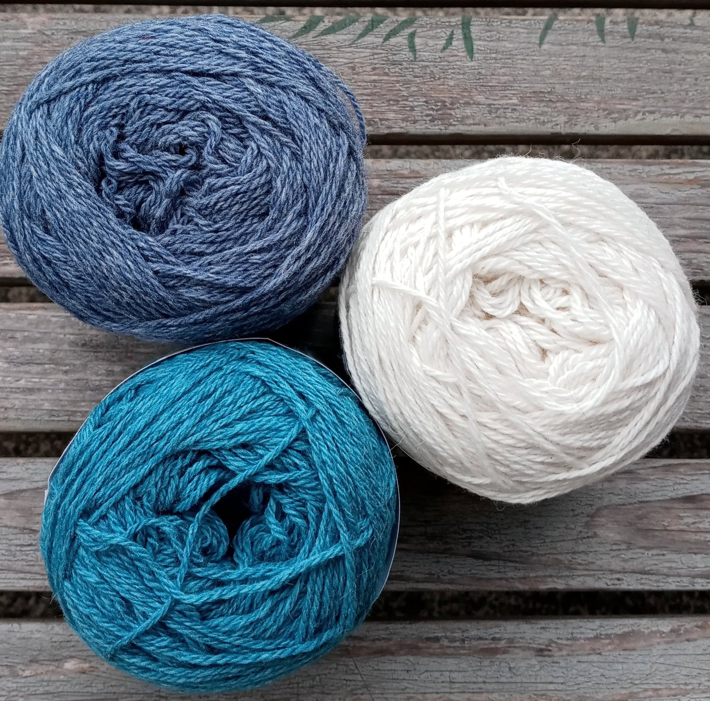 United by Queensland Collection