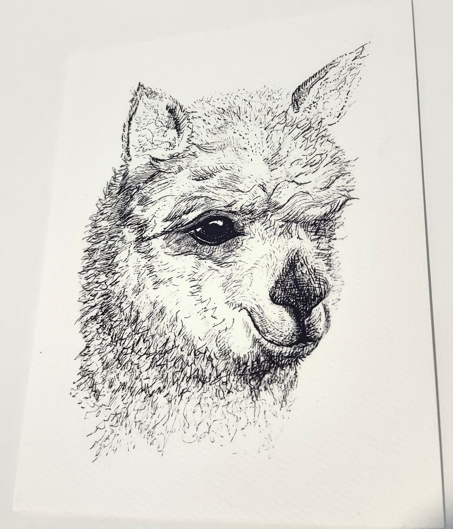 Hand Inked Cards (Set of 5 or Singles)