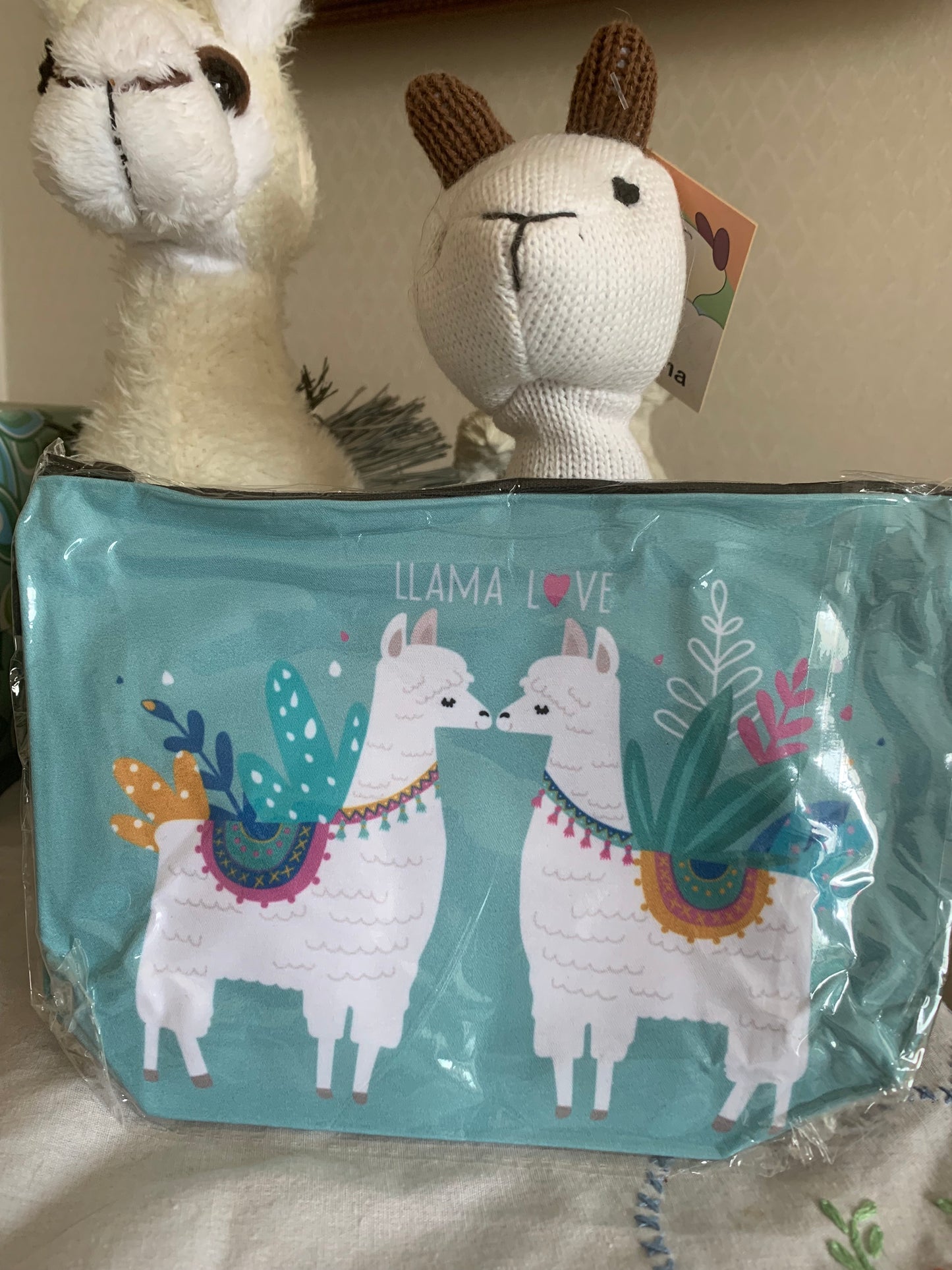 Paca Pouch
