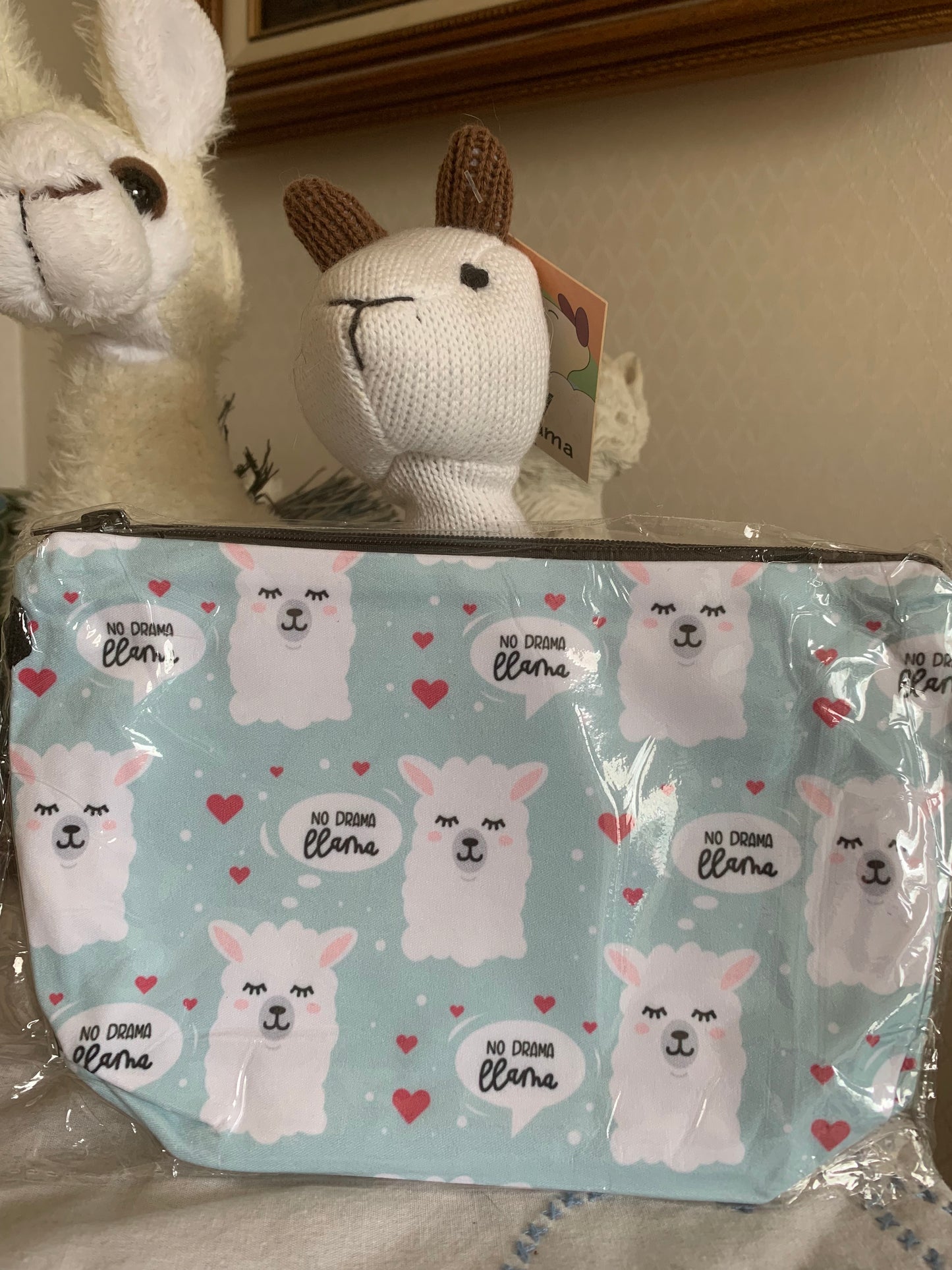 Paca Pouch