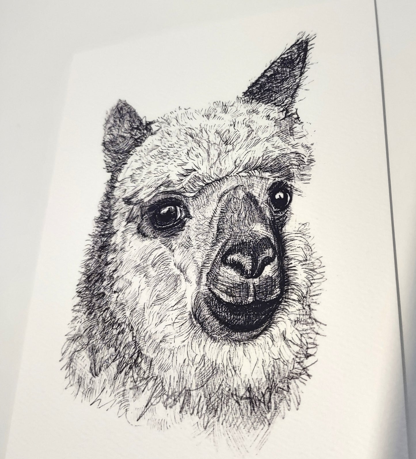 Hand Inked Cards (Set of 5 or Singles)