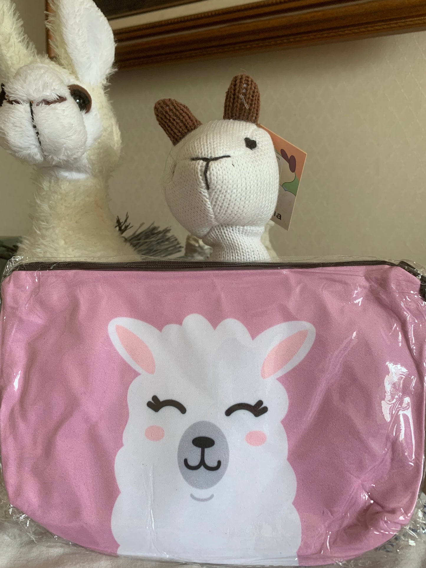Paca Pouch