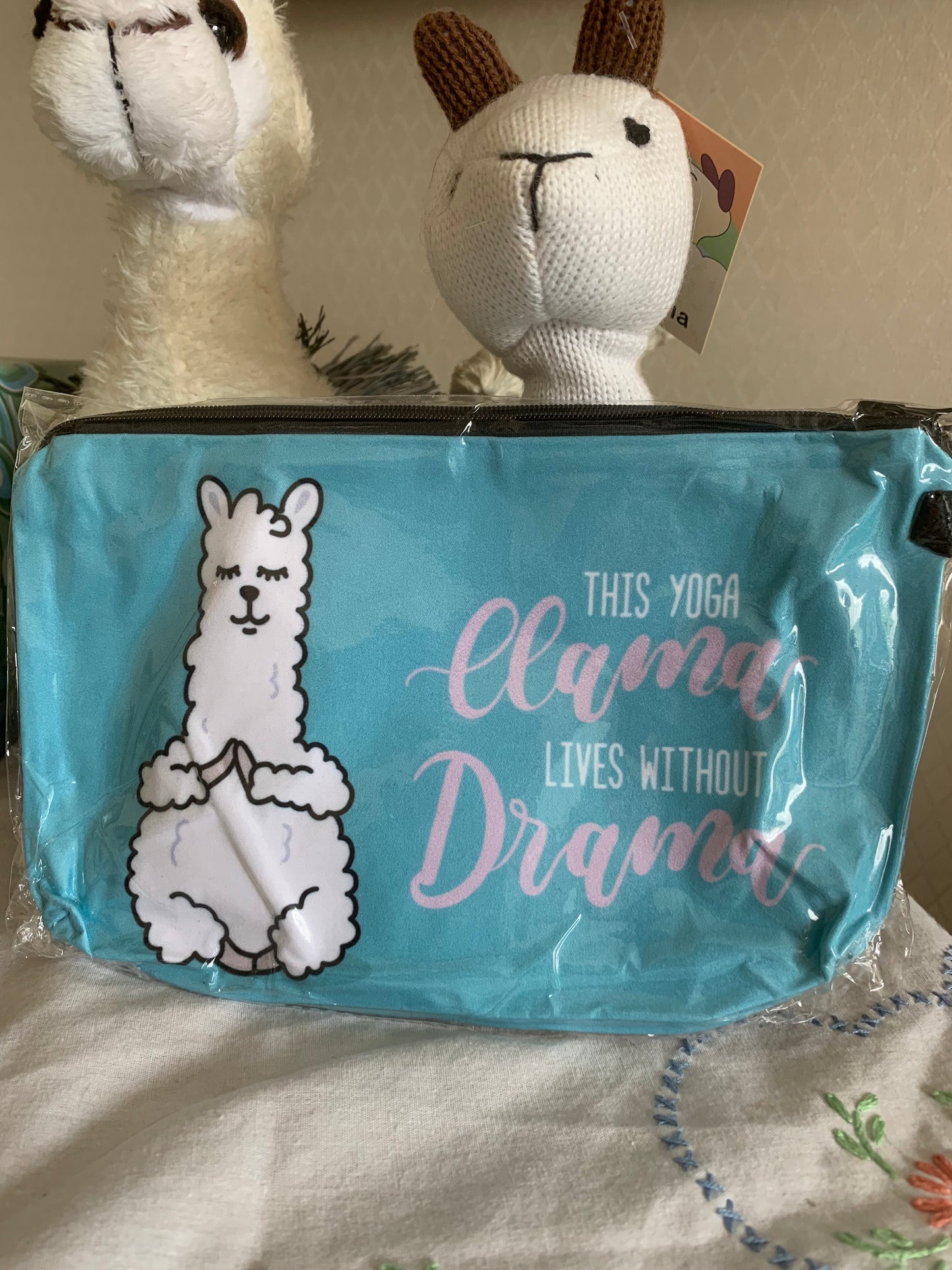 Paca Pouch