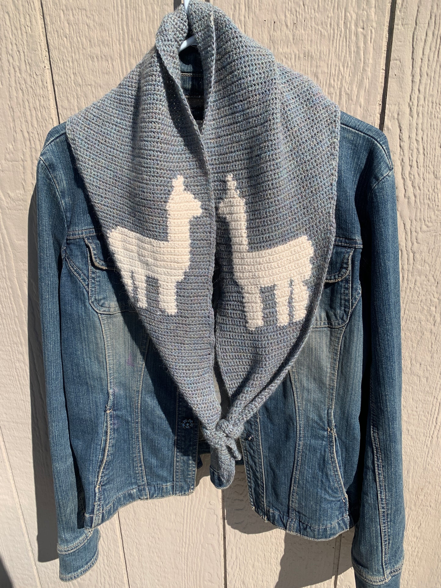 Paxton's "Pit Stop" Scarf CROCHET Pattern
