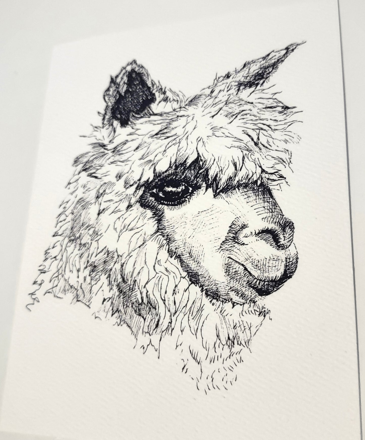 Hand Inked Cards (Set of 5 or Singles)