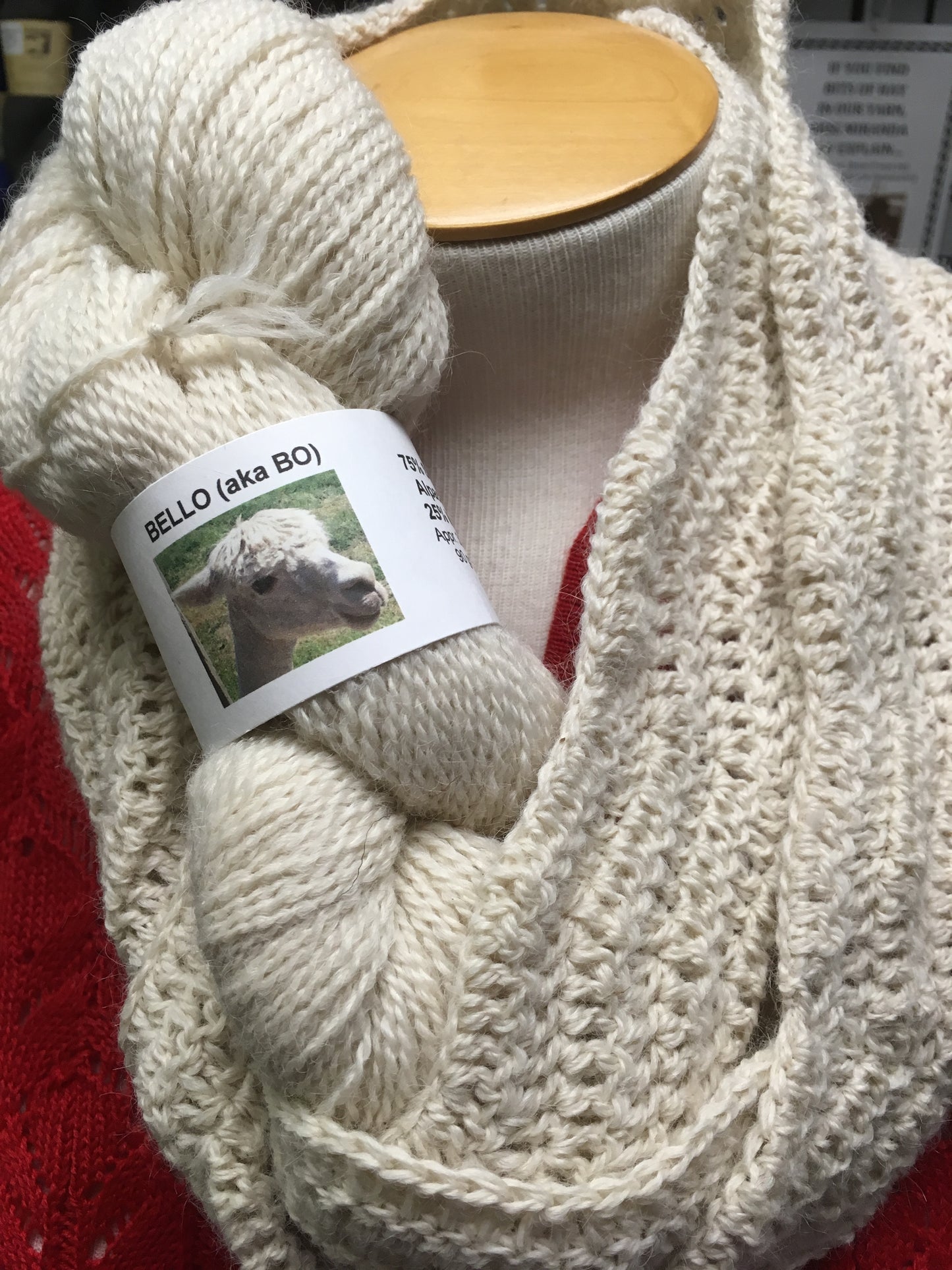 Bo's "Turkish Delight" Crochet Cowl PATTERN