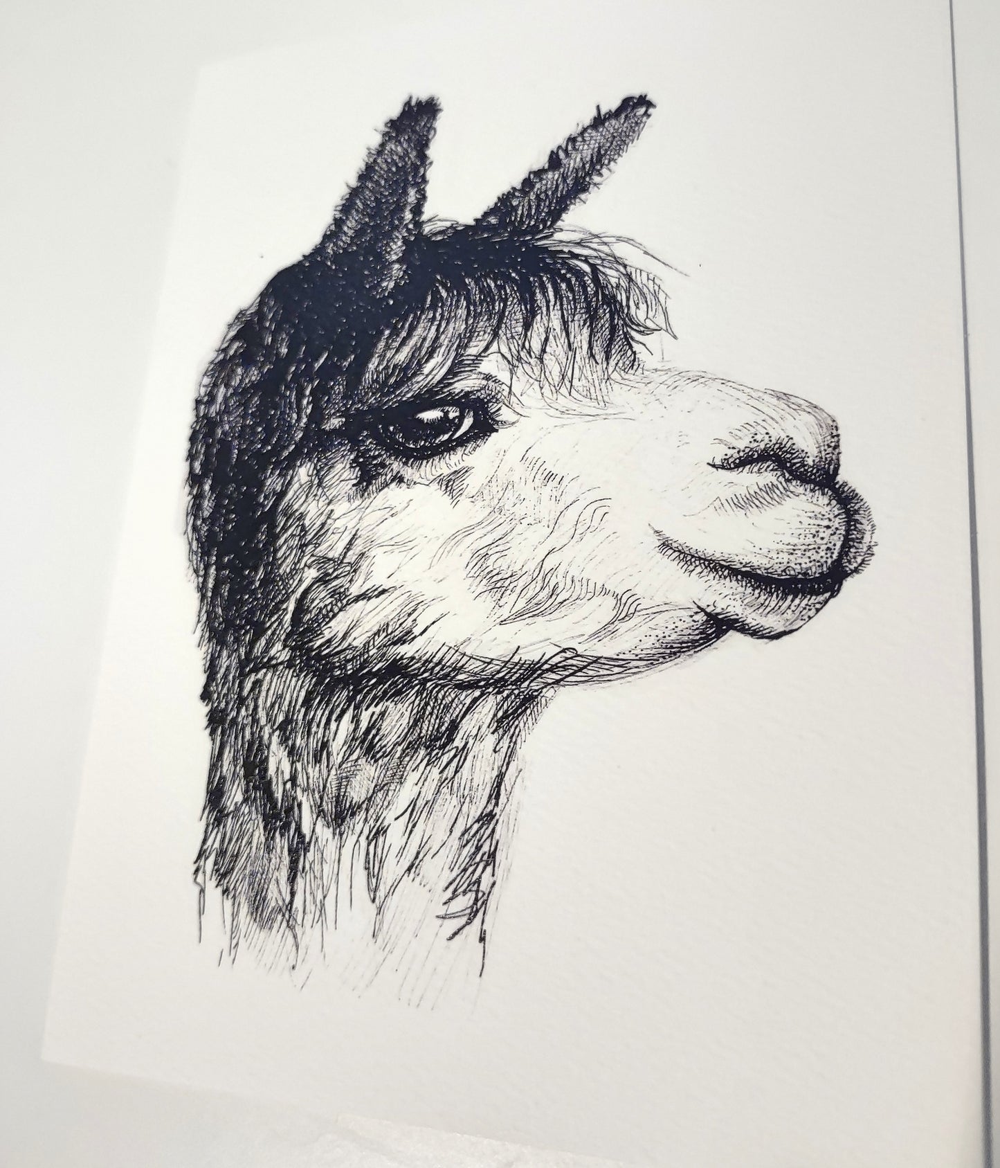 Hand Inked Cards (Set of 5 or Singles)