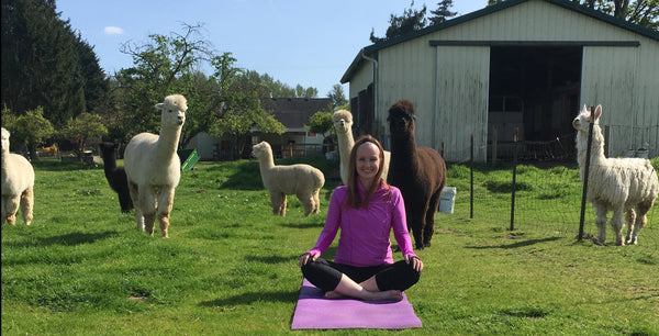 ALPACA YOGA