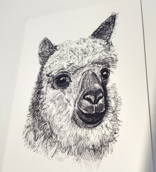 Hand Inked Cards (Set of 5 or Singles)