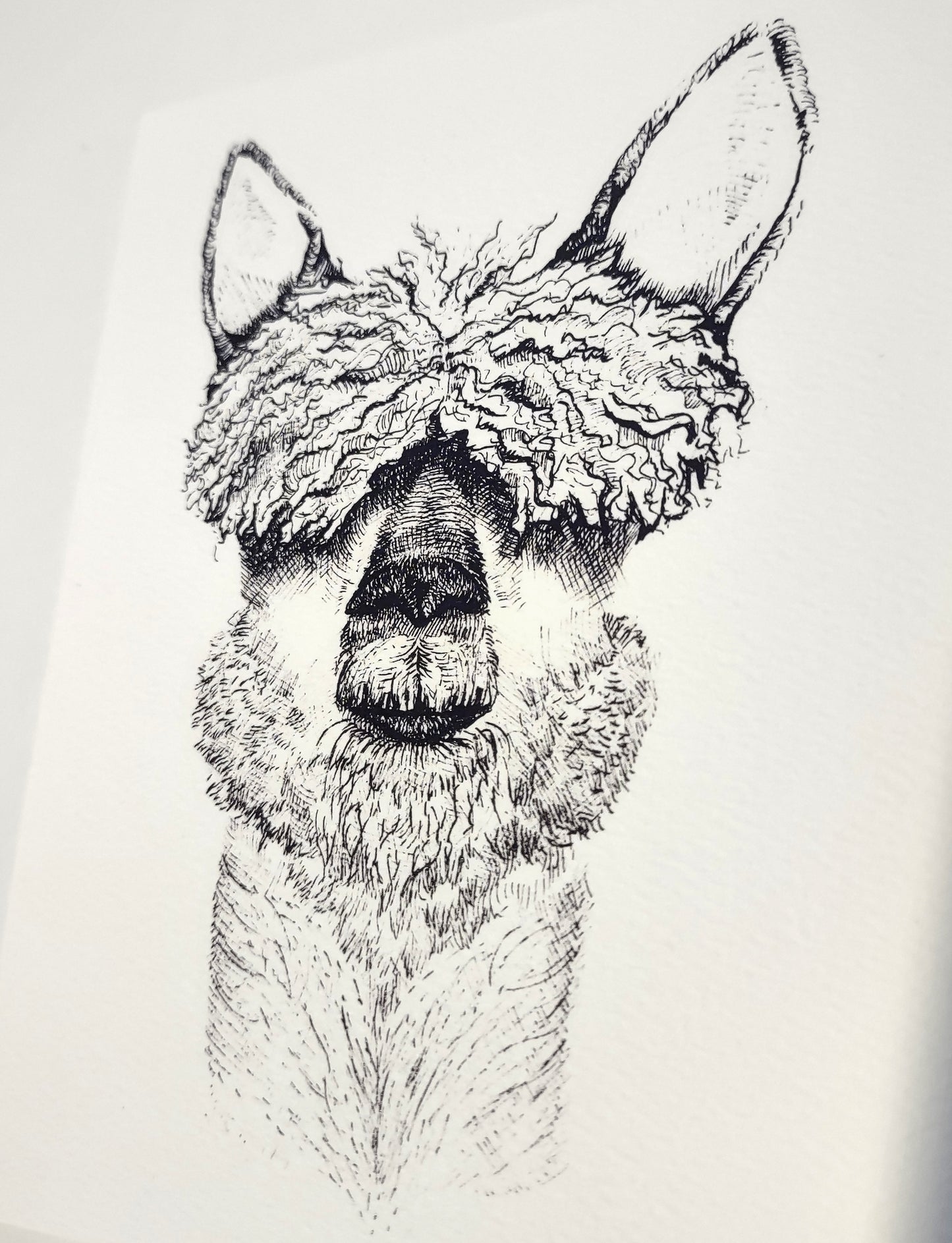 Hand Inked Cards (Set of 5 or Singles)